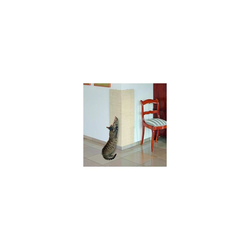 2026_05_23_810896